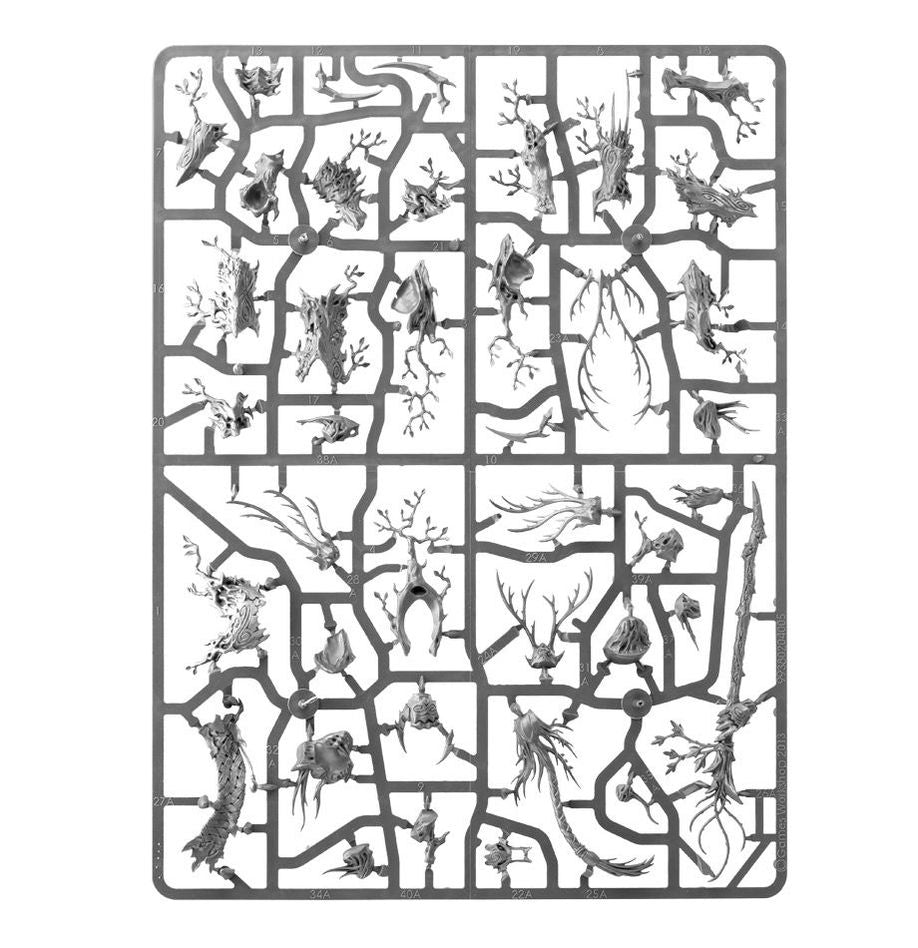 Games Workshop - Age of Sigmar: Spearhead Sylvaneth (Inglés)