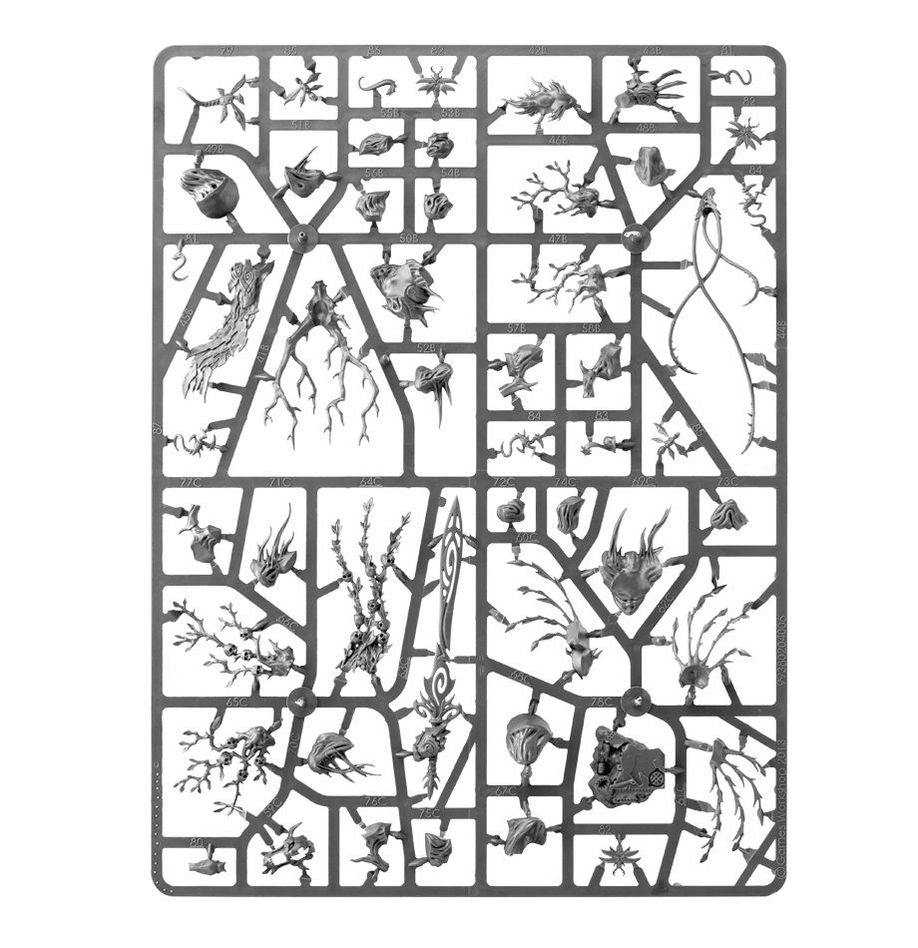 Games Workshop - Age of Sigmar: Spearhead Sylvaneth (Inglés)