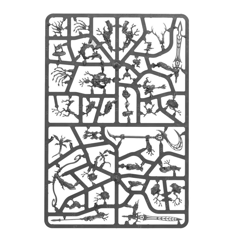 Games Workshop - Age of Sigmar: Spearhead Sylvaneth (Inglés)