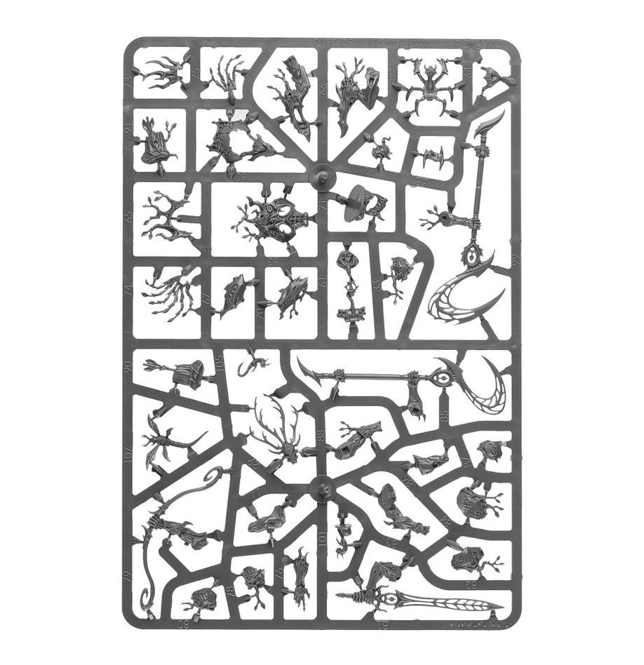 Games Workshop - Age of Sigmar: Spearhead Sylvaneth (Inglés)