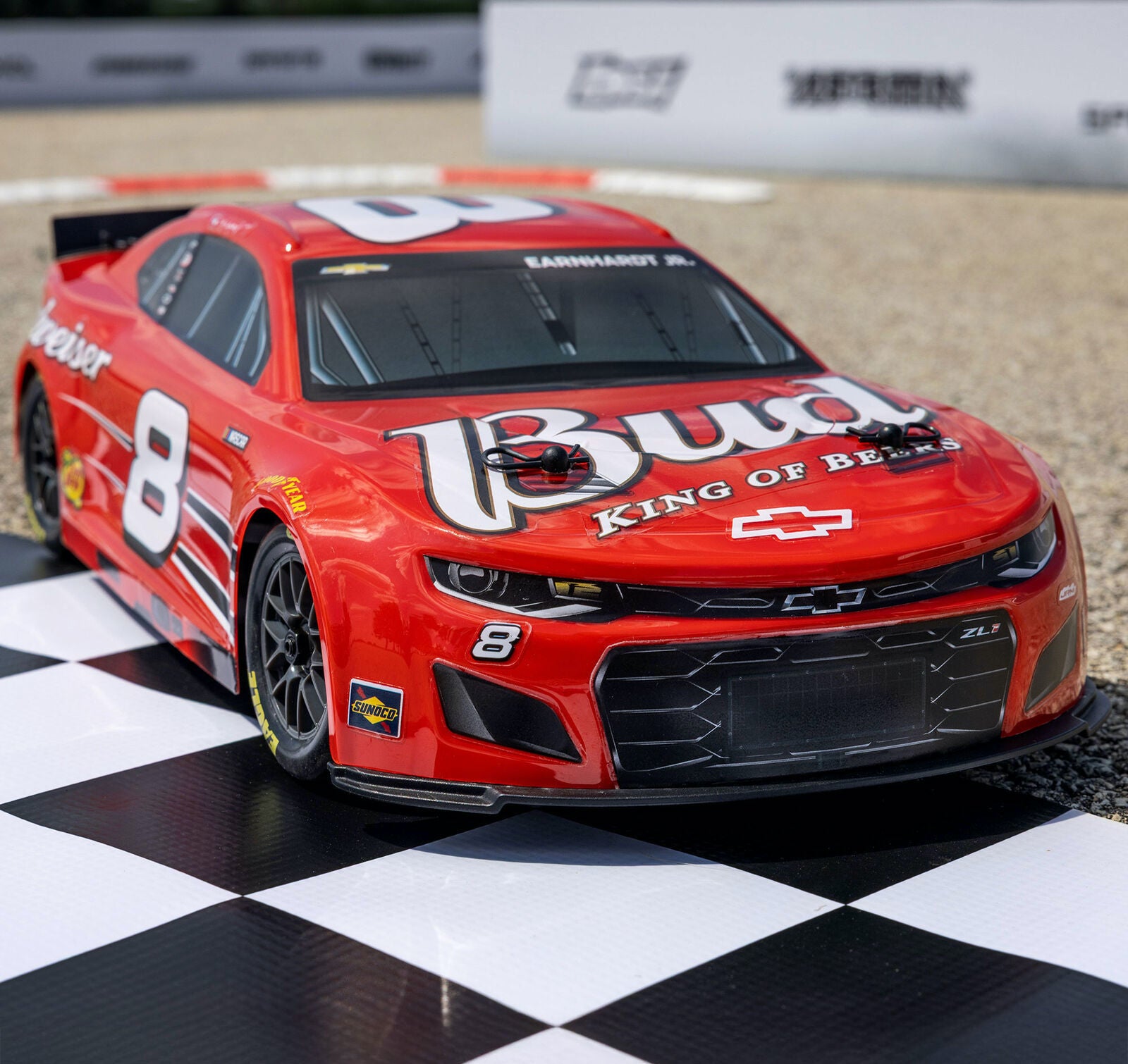 Team Losi - 1/12 Losi NASCAR Dale Earnhardt Jr. No.8 Budweiser (Battery & Charger Included)