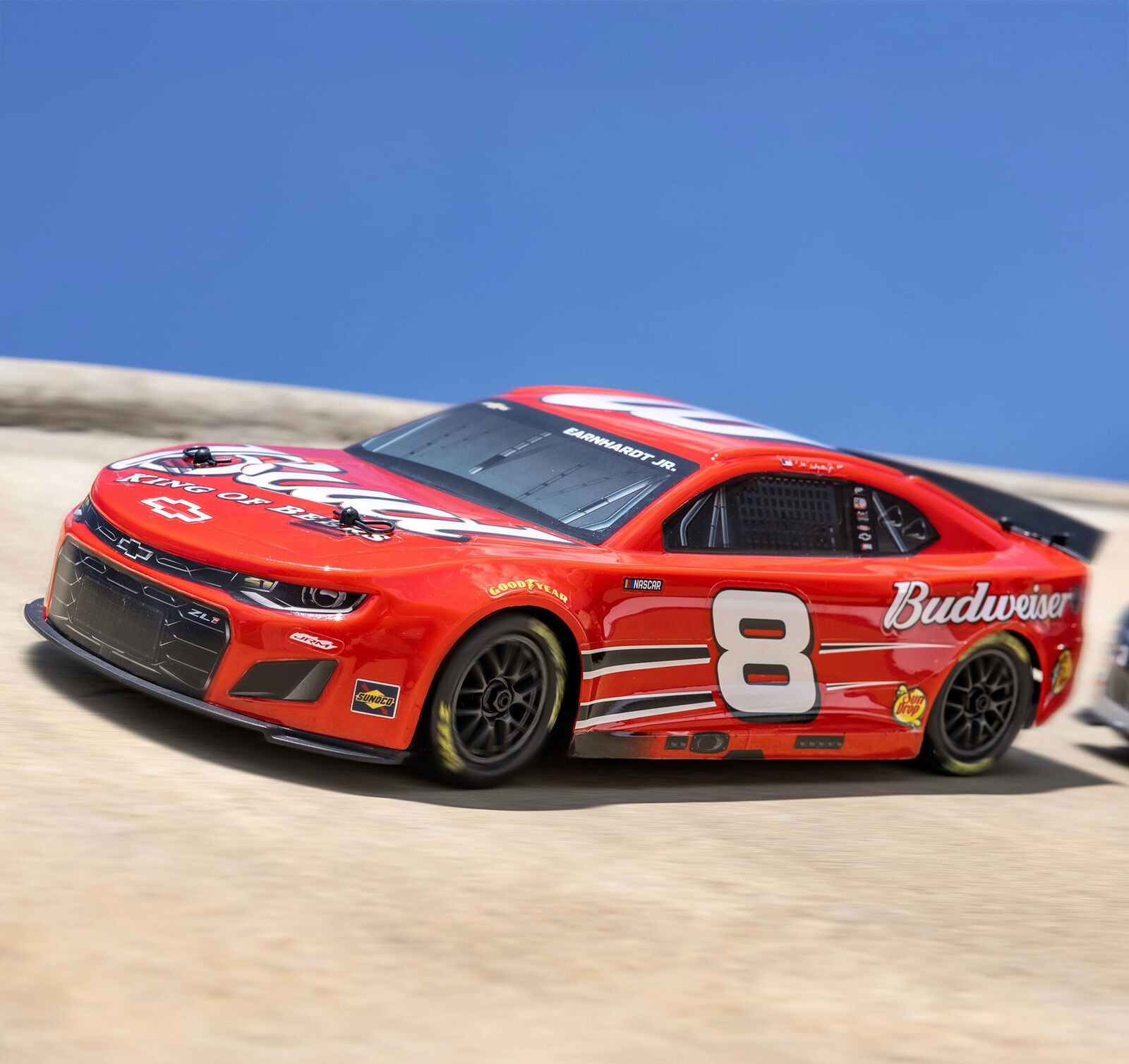 Team Losi - 1/12 Losi NASCAR Dale Earnhardt Jr. No.8 Budweiser (Battery & Charger Included)