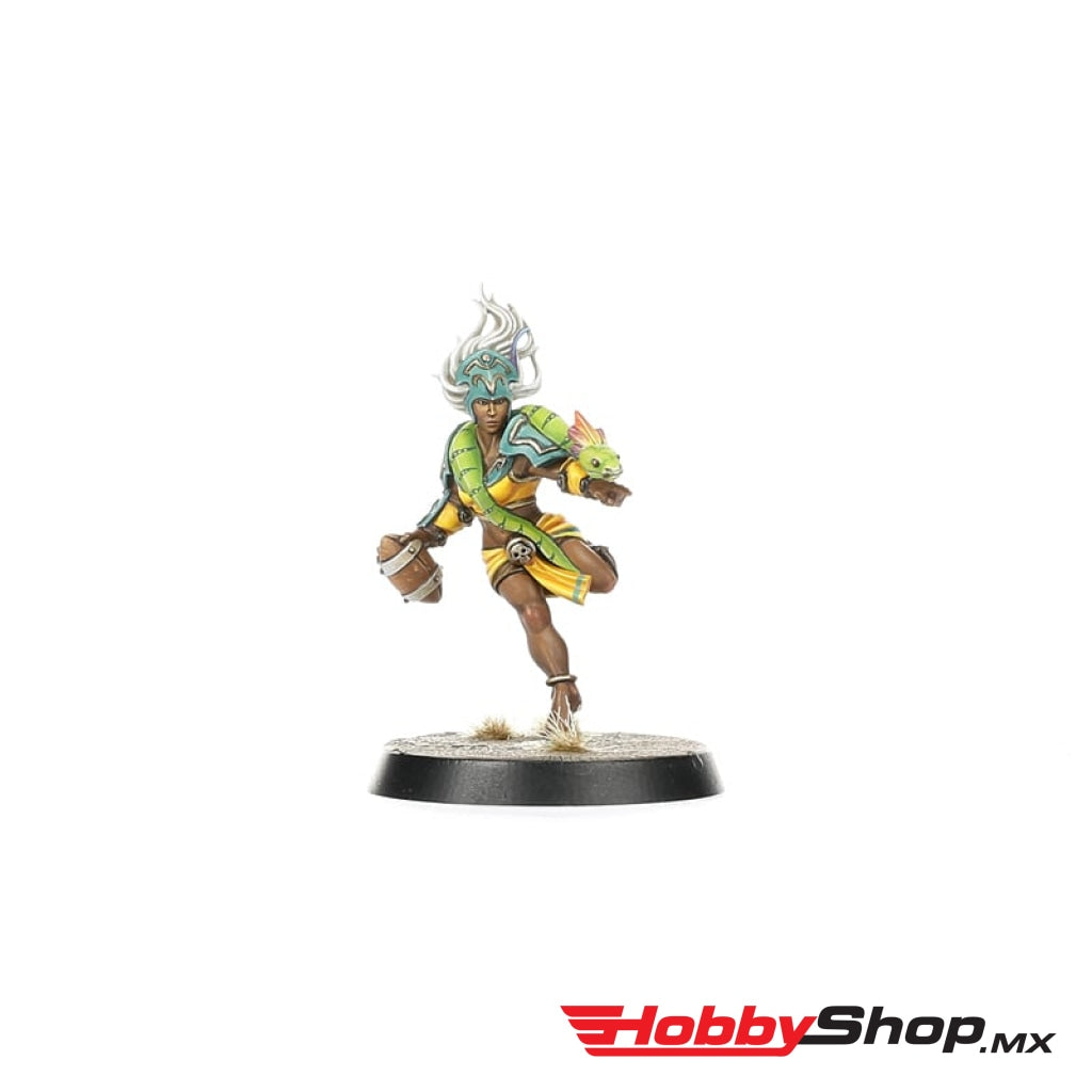 Games Workshop - Amazon Blood Bowl Team: Kara Temple Harpies En Existencia