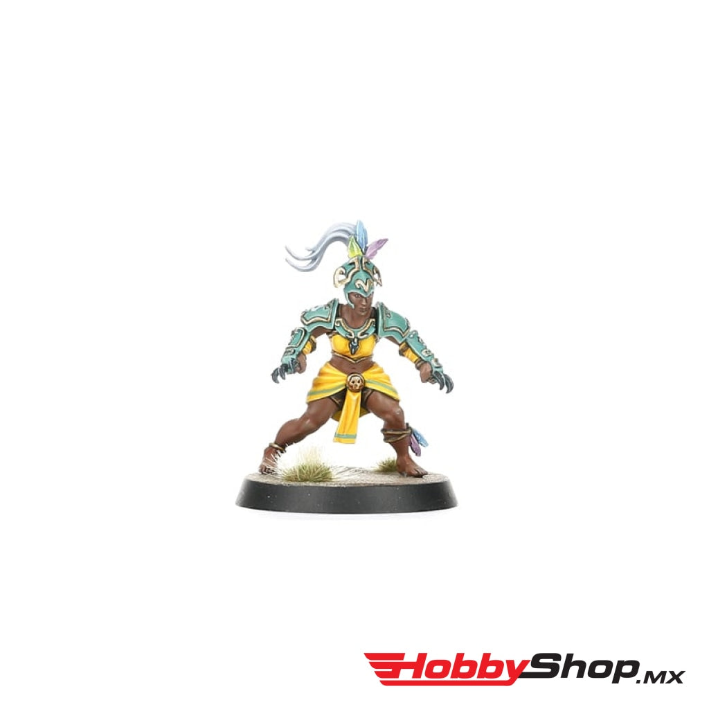 Games Workshop - Amazon Blood Bowl Team: Kara Temple Harpies En Existencia