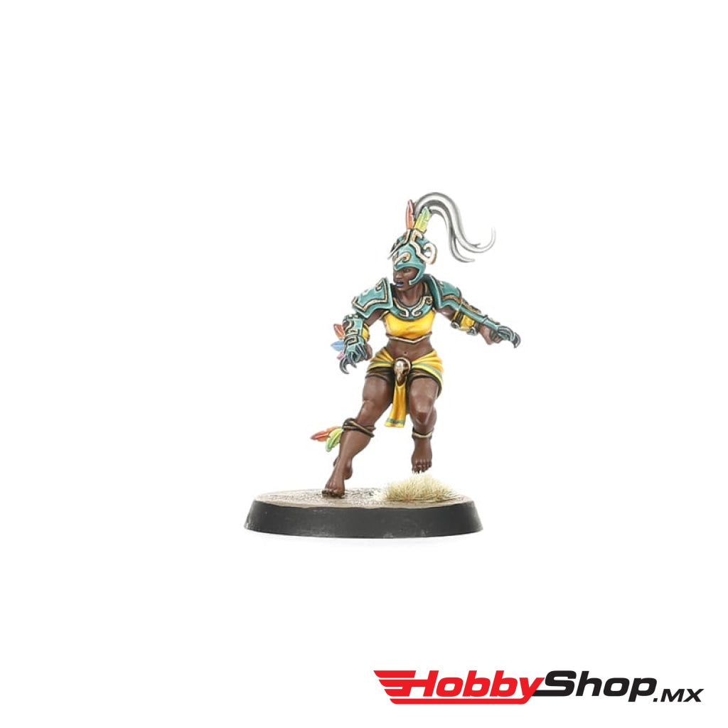 Games Workshop - Amazon Blood Bowl Team: Kara Temple Harpies En Existencia