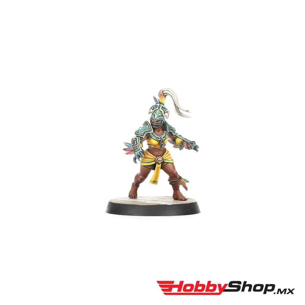 Games Workshop - Amazon Blood Bowl Team: Kara Temple Harpies En Existencia