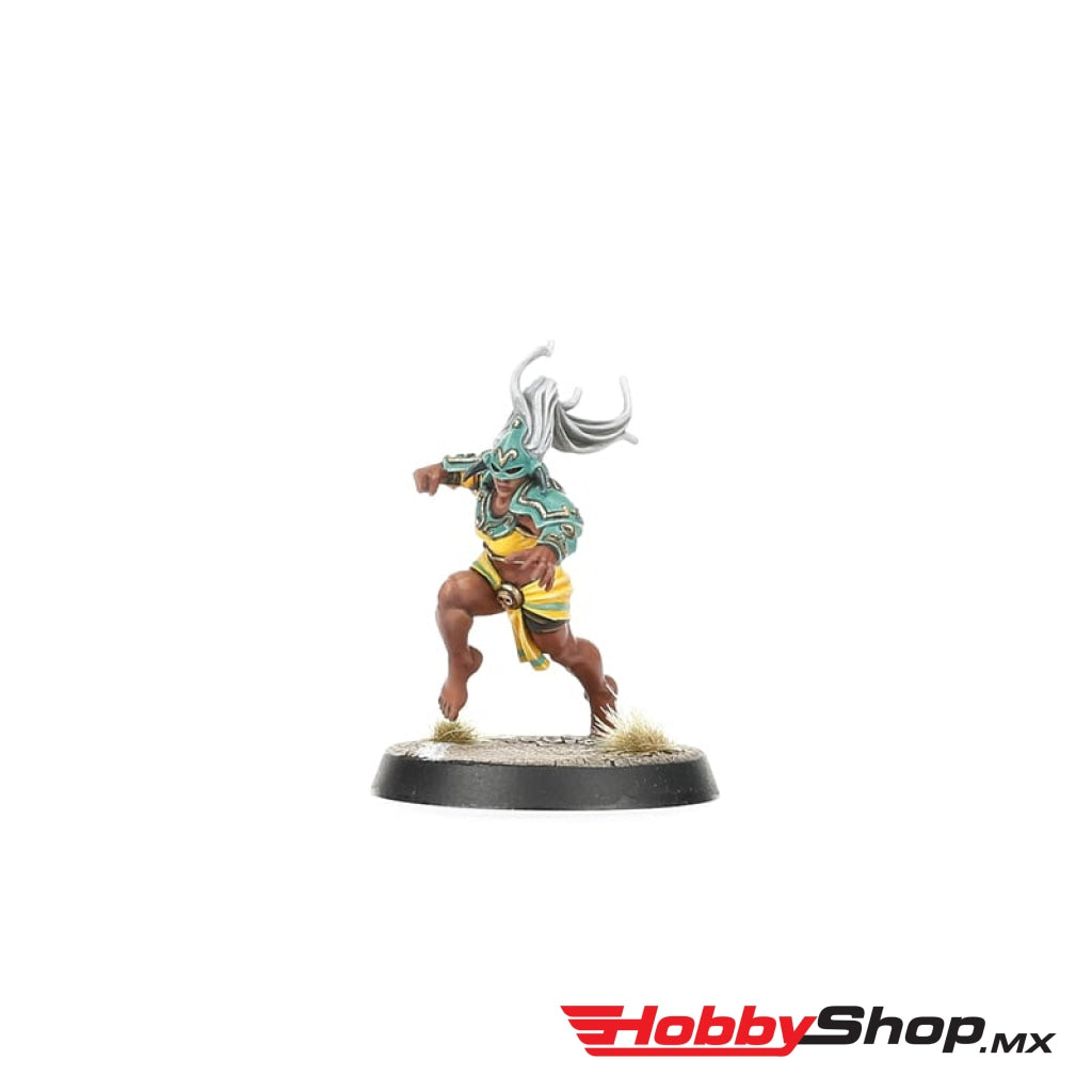 Games Workshop - Amazon Blood Bowl Team: Kara Temple Harpies En Existencia