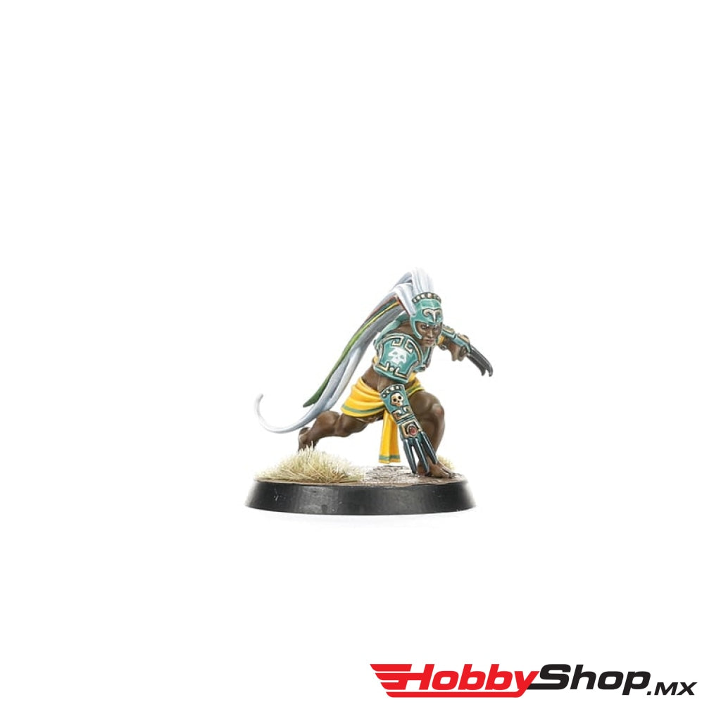 Games Workshop - Amazon Blood Bowl Team: Kara Temple Harpies En Existencia