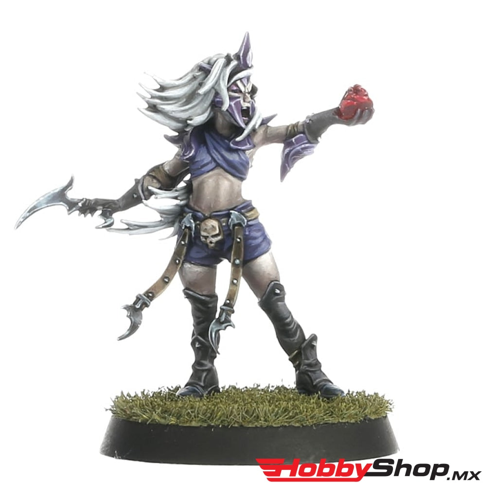 Games Workshop - Blood Bowl: Dark Elf Bowl Team: Naggaroth Nightmares En Existencia
