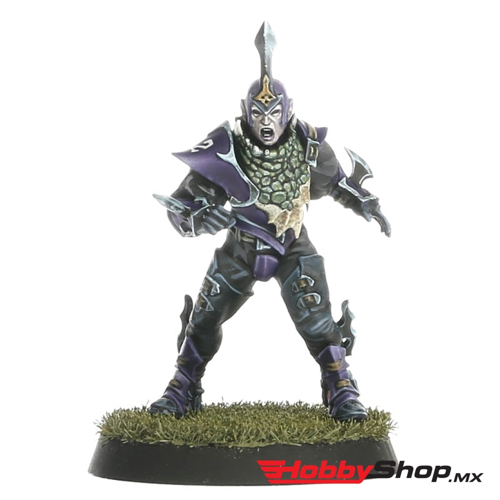 Games Workshop - Blood Bowl: Dark Elf Bowl Team: Naggaroth Nightmares En Existencia