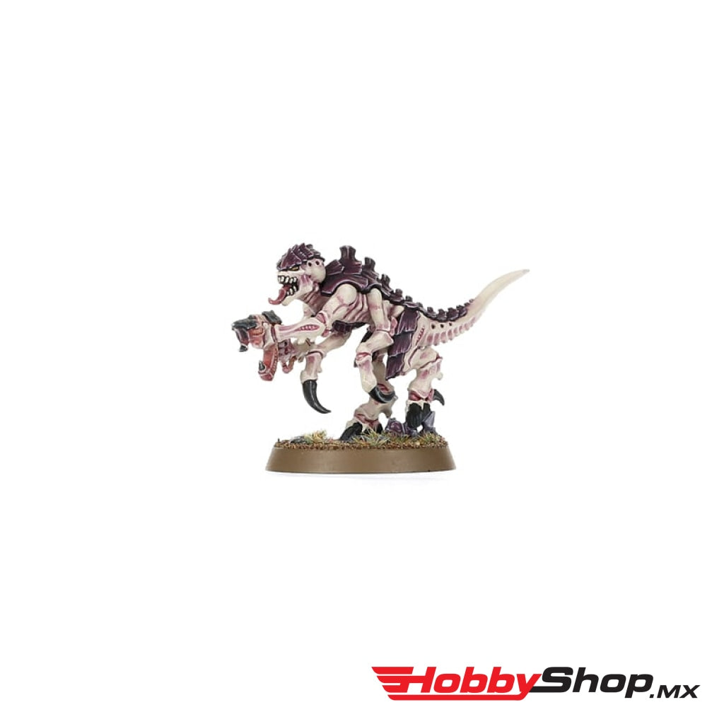 Games Workshop - Warhammer 40 000: Introductory Set (Inglés) En Existencia