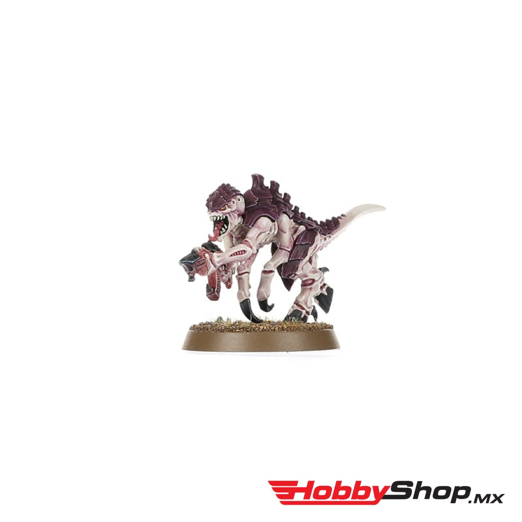 Games Workshop - Warhammer 40 000: Introductory Set (Inglés) En Existencia