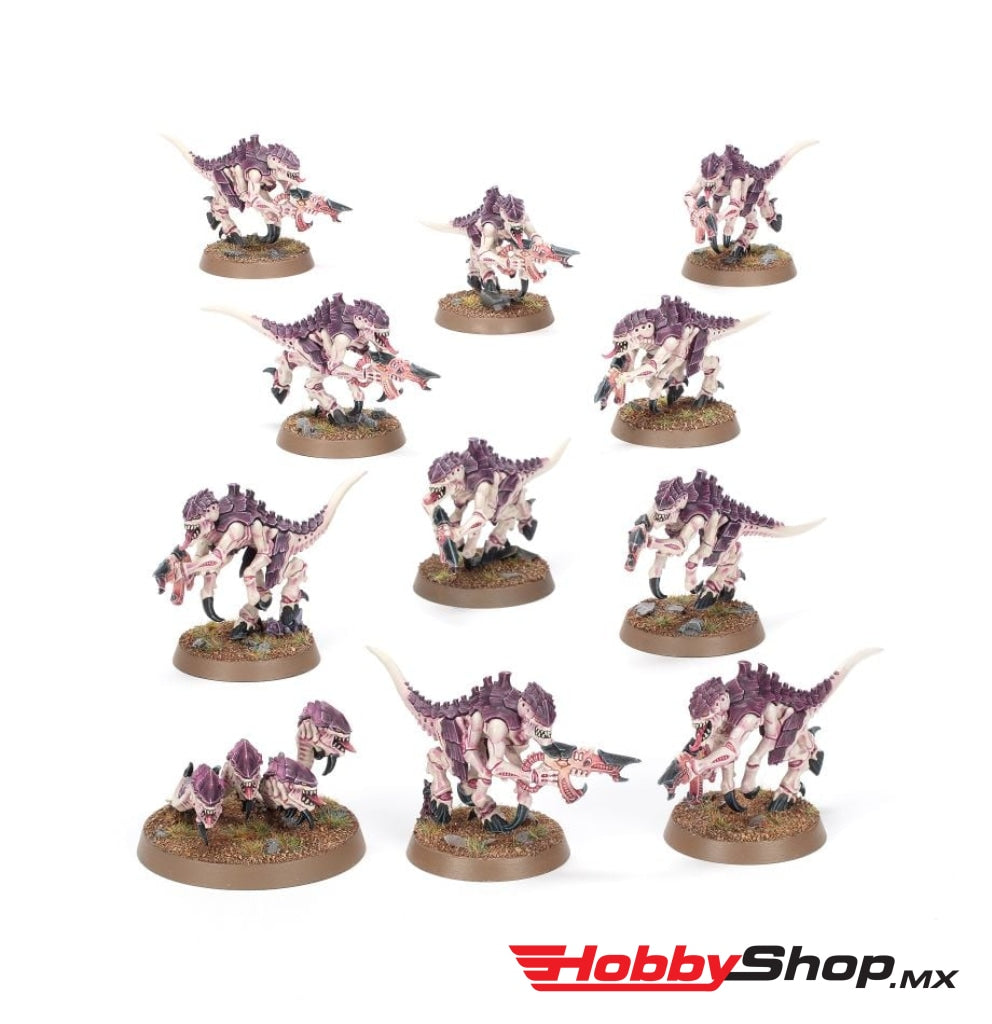 Games Workshop - Warhammer 40 000: Introductory Set (Inglés) En Existencia