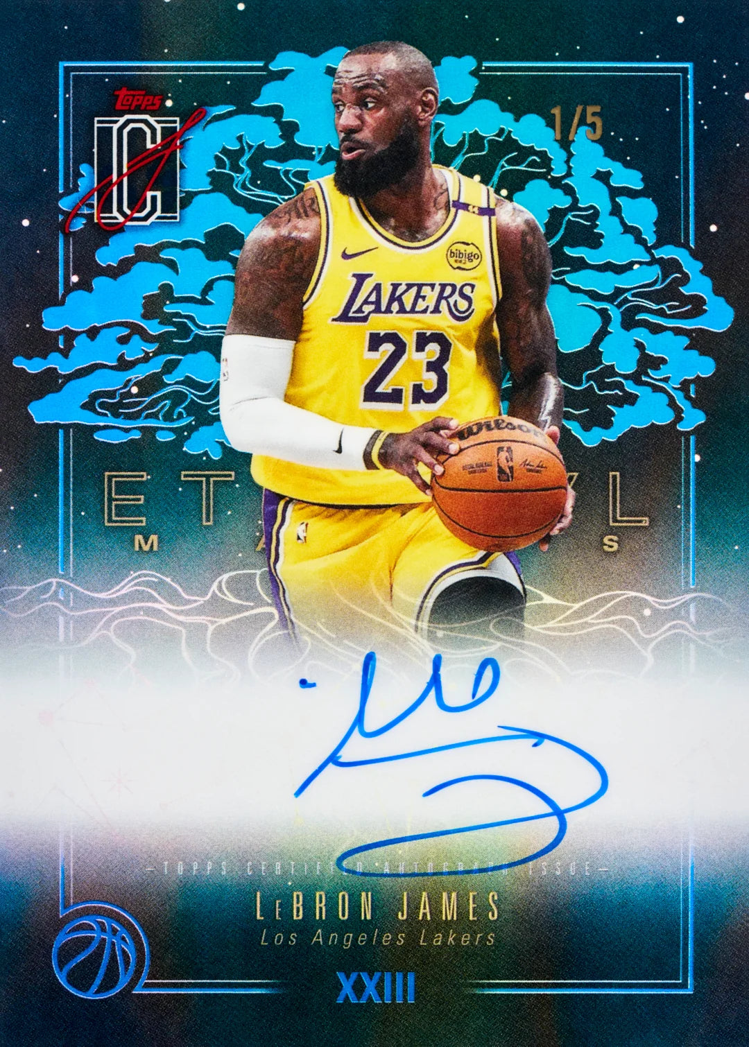 Topps - Signature Class Basketball 2025-26 - Value Box