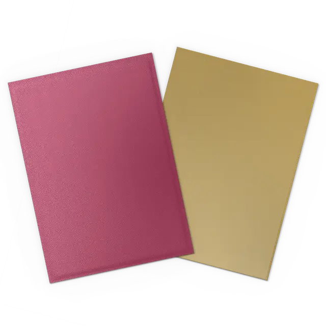 Arcane Tinmen - Dragon Shield - 25th Special Edition -Matte Dual Sleeves - Red/Gold - Standard Size