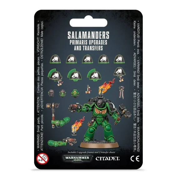 Salamanders: Upgrades & Transfers