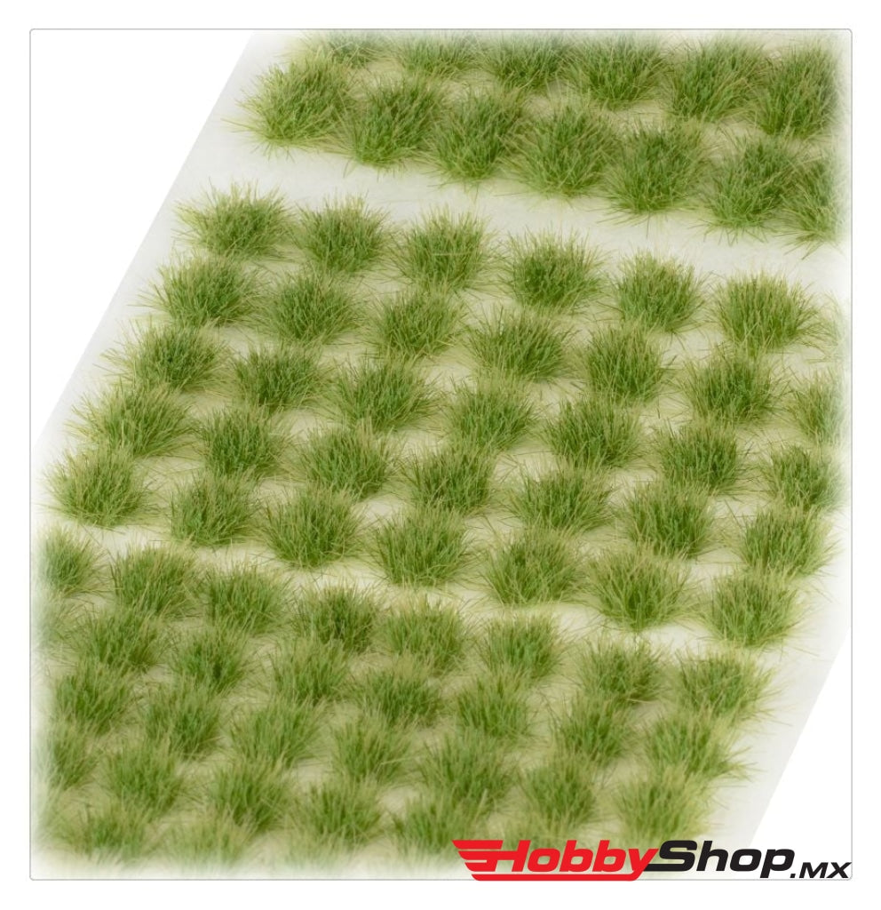 Games Workshop - Citadel Colour: Verdia Veldt Tufts En Existencia