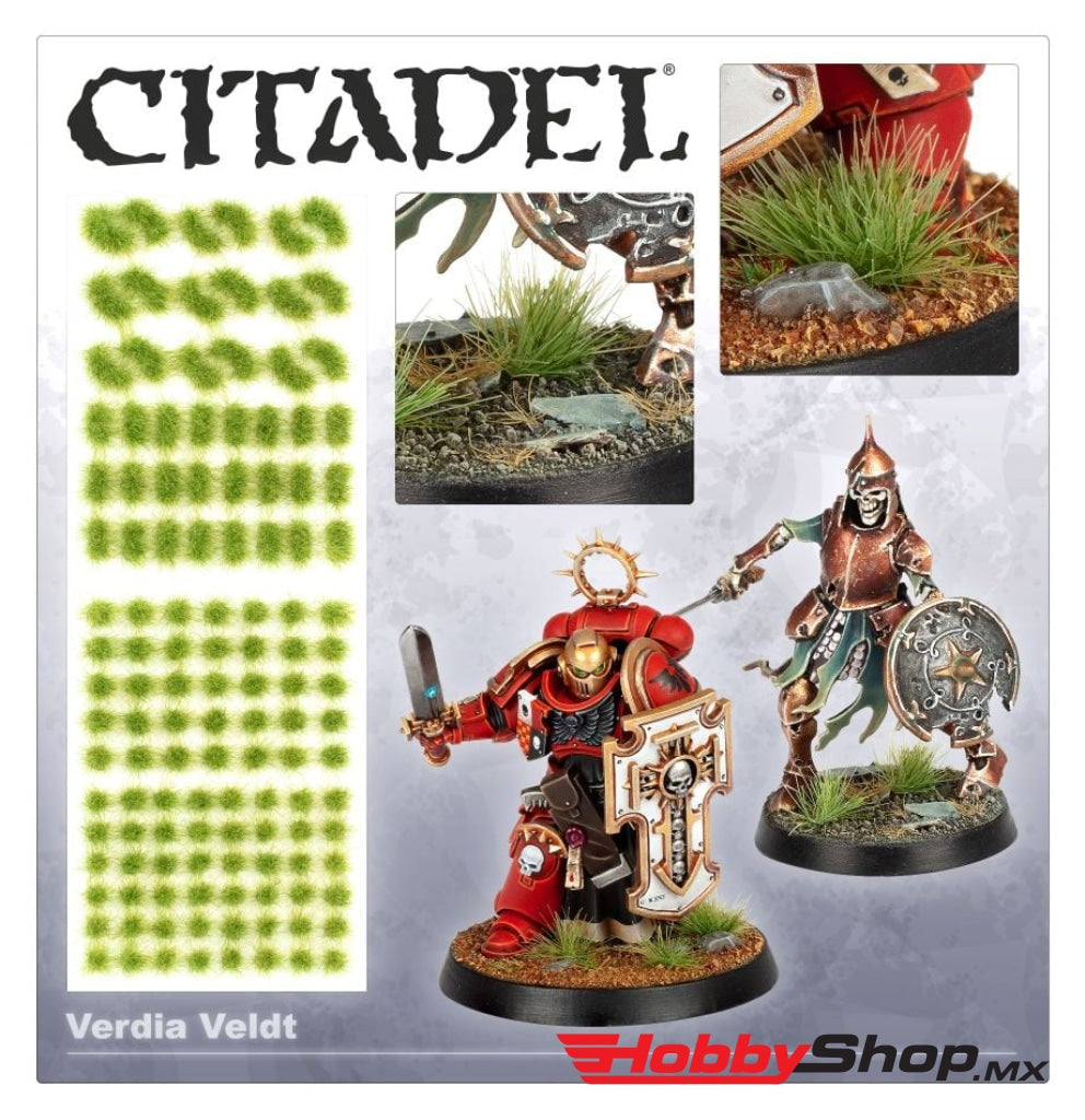 Games Workshop - Citadel Colour: Verdia Veldt Tufts En Existencia