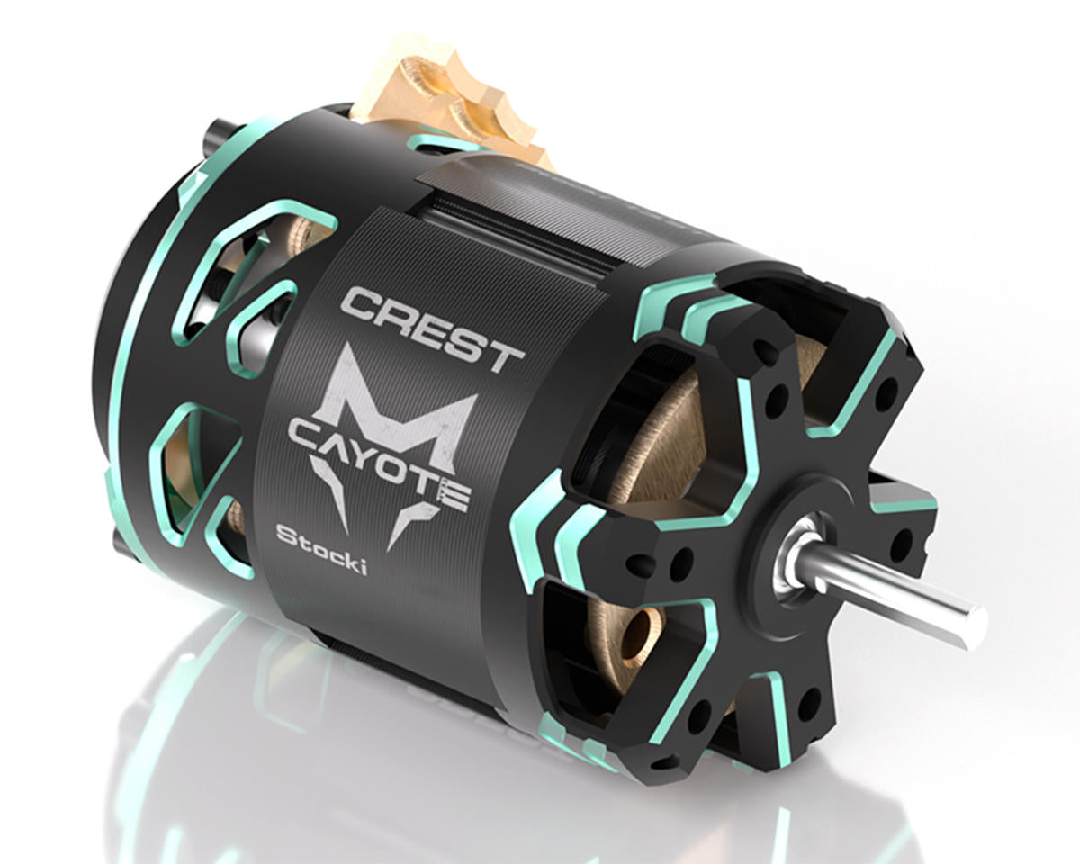 Cayote - Crest Stocki 1/10 Brushless Competition Sensored Motor (13.5T)