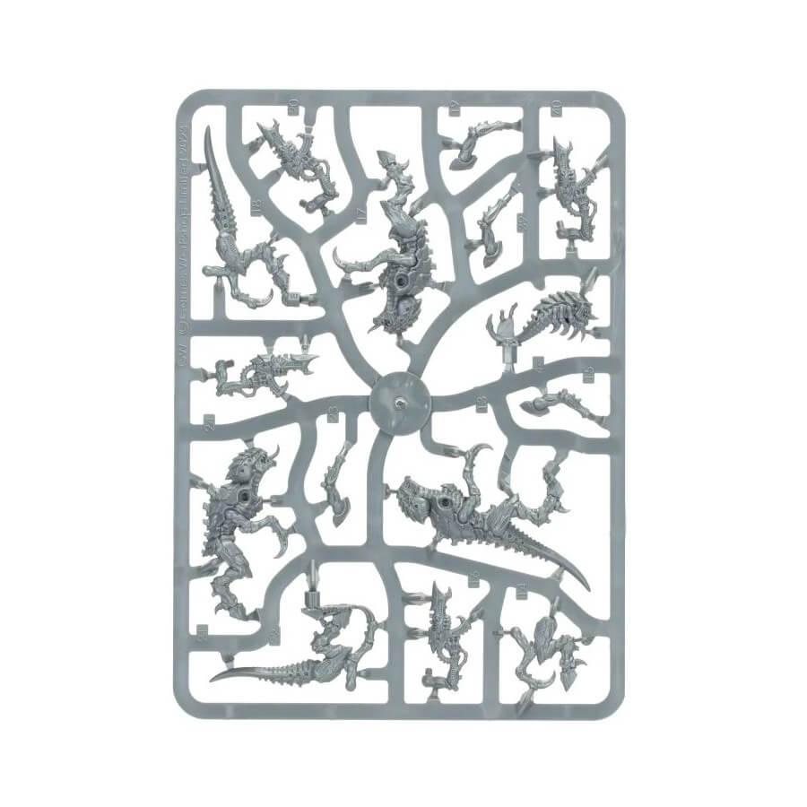 Tyranids: Termagants - Vista 7