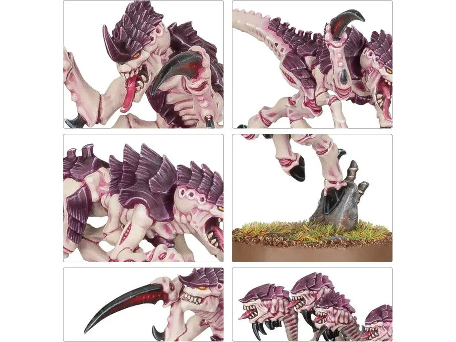 Tyranids: Hormagaunts - Detalle del kit