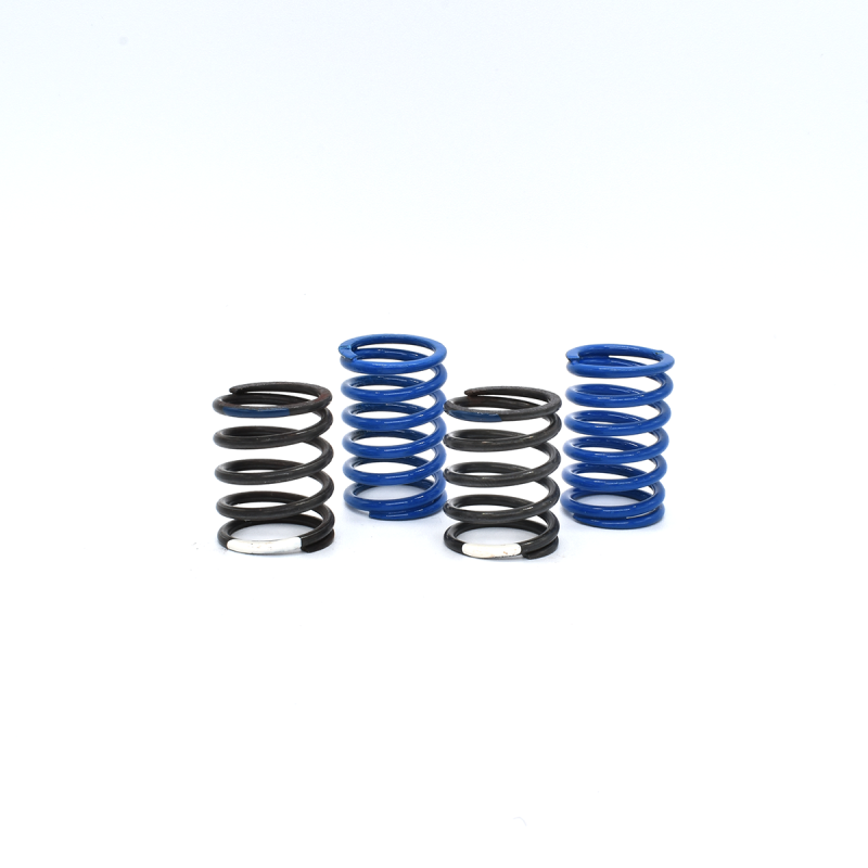 Capricorn - BLUE SPRINGS- SET - ( 4pcs )