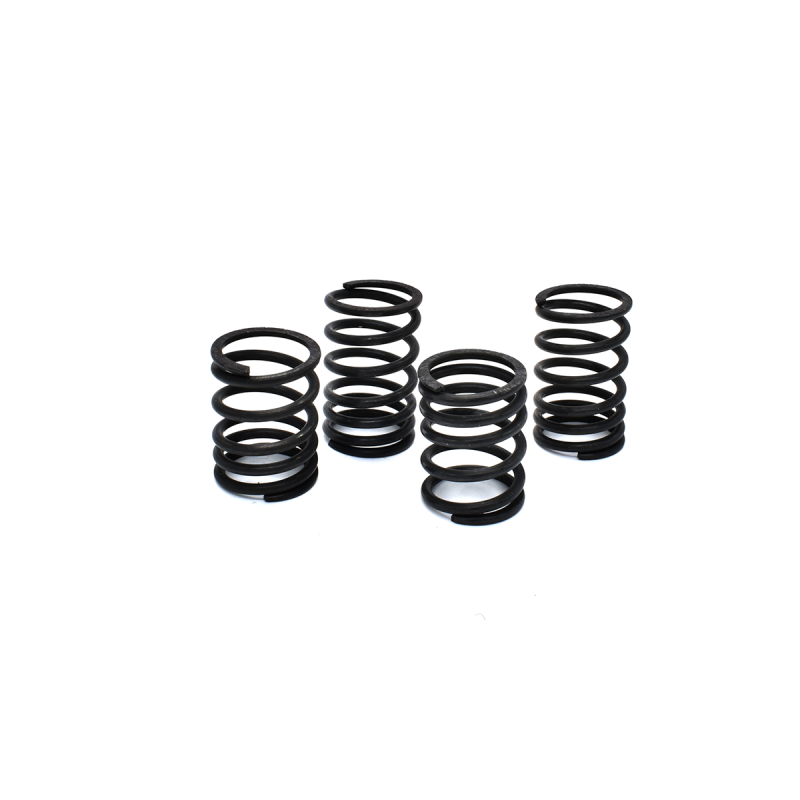 Capricorn - PROGRESSIVE SPRINGS - SET - ( 4pcs ) 1/10, 1/8
