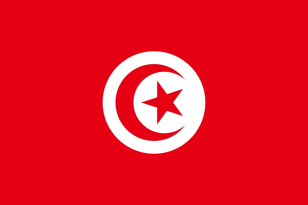 Túnez - Estampas Álbum Fifa Qatar 2022 Panini